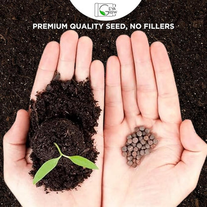 Regional Wildflower - Northeast USA Wildflowers - 100% Pure Seed - Organic, Non-GMO - 21 Wildflower Variety Seeds of Annual & Perennial, 1 LB Tub