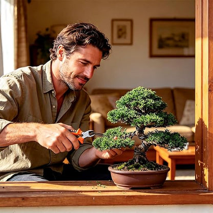 Mudder 5 Roll Aluminum Bonsai Training Wire Tree 2/2.5/3/4/6mm 42 Feet Total with Bonsai Wire Cutter Anodized Training for Holding Branches Small Trunks(Colorful)