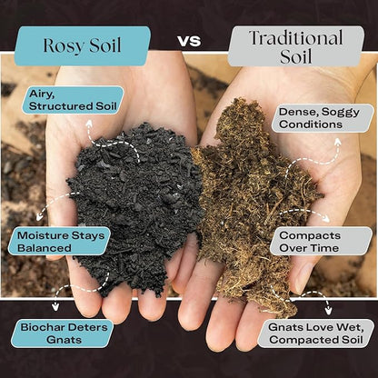 Rosy Soil Houseplant Potting Soil - 2 x 8 qrt, Organic Indoor Potting Mix with Biochar and Worm Castings for Monstera, Pothos, Tropical Indoor Plants - Peat Free - 8qt, Pack of 2