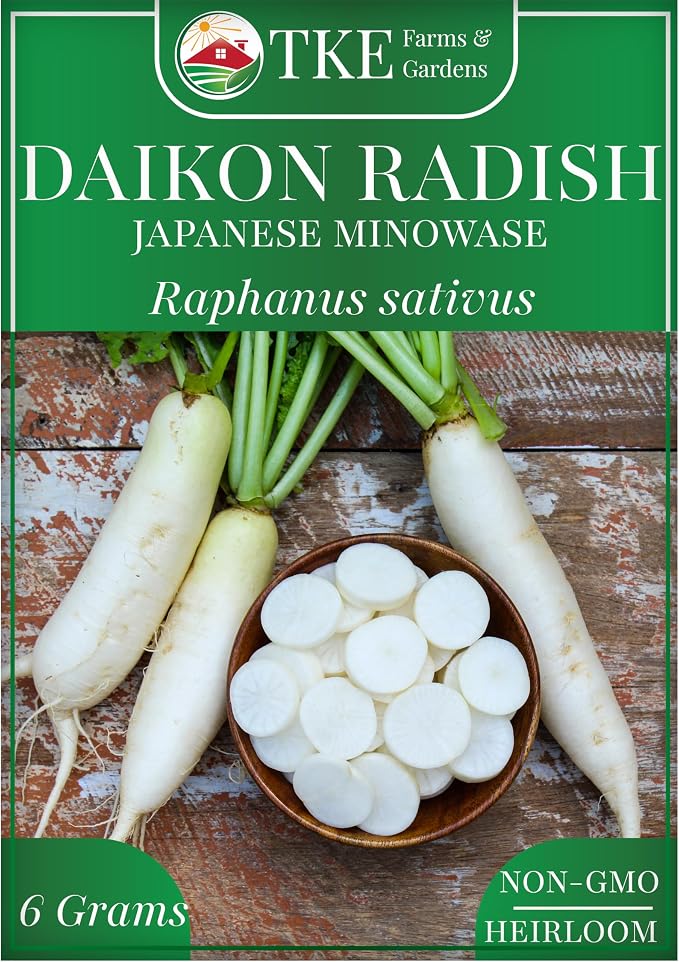 TKE Farms & Gardens - Daikon Radish Seeds for Planting, 500+ Heirloom Non-GMO Seeds, Japanese Minowase, Fast-Growing & Low-Calorie Superfood, Great for Pickling & Cover Crops, Instructions Included