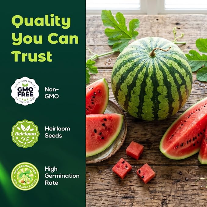 40 Heirloom Crimson Sweet Watermelon Seeds for Planting – Large Sweet Melon, High Germination, Fast-Growing, Ideal for Home Garden & Field