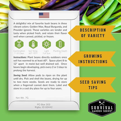 Tri Color Blend Bush Bean Seeds for Planting - Mix of Green, Yellow Wax, & Purple Beans with Stringless Pods - 3 Non-GMO Heirloom High Yield Varieties - Survival Garden Seeds (5 Packs)