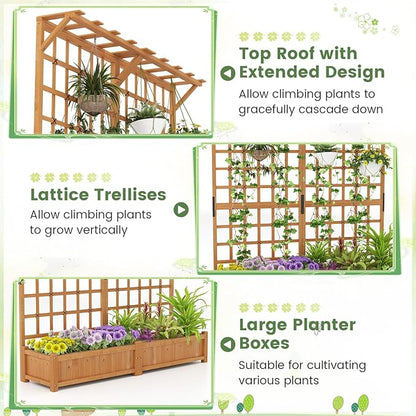 COSTWAY 71” Large Wooden Raised Garden Bed with Trellis and Hanging Roof, 2 Planter Boxes, 4 Drainage Holes, Removable Bottom Plate for Climbing Plants, Flowers, Outdoor Balcony Planter