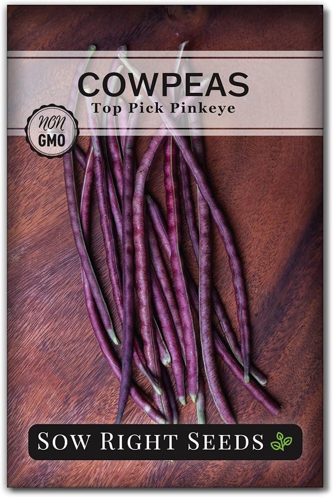 Sow Right Seeds - Top Pick Pinkeye Cowpea Seeds for Planting - Non-GMO Heirloom Packet with Instructions to Plant a Vegetable Garden - Market Favorite Bush Bean Variety - Interesting Pink Pods (1)