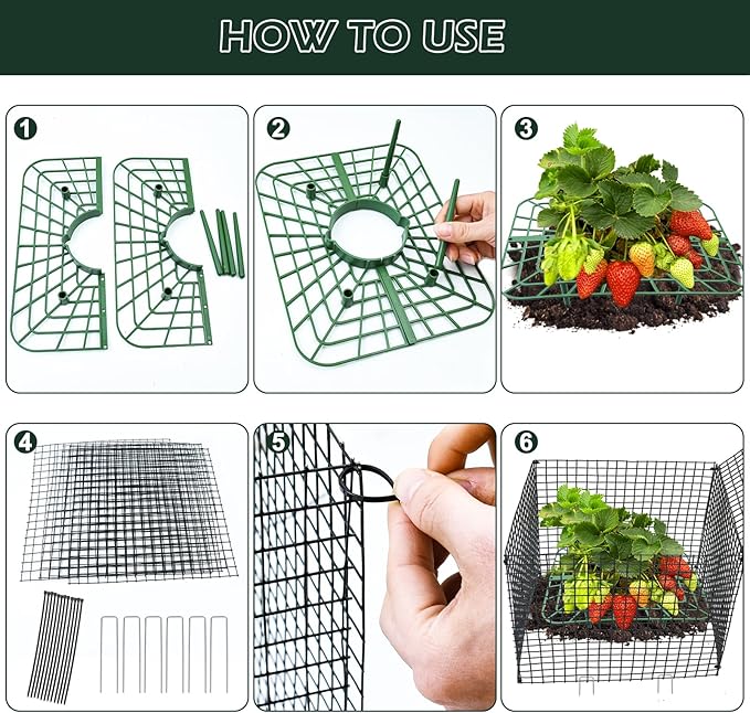 4 Sets Upgraded Strawberry Supports with Wire Plant Protectors from Animal 12x12Inch Sturdy Metal Wire Plant Cages Mesh Plant Cover and Strawberry Growing Racks Planting Stand for Garden Strawberry
