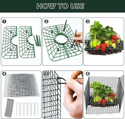 4 Sets Upgraded Strawberry Supports with Wire Plant Protectors from Animal 12x12Inch Sturdy Metal Wire Plant Cages Mesh Plant Cover and Strawberry Growing Racks Planting Stand for Garden Strawberry
