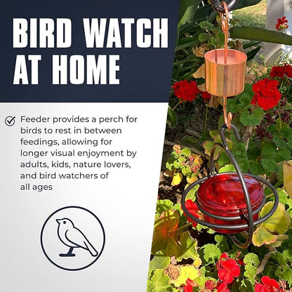 Monarch Abode Hanging Hummingbird Feeders for Outdoors – Single Handcrafted Hanging Glass Hummingbird Feeder with Red Bowl & Perch, Decorative Humming Bird Feeders for Outdoors Garden Patio Deck
