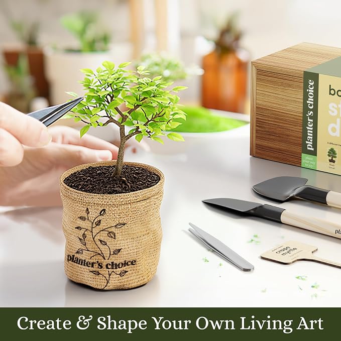 Planter's Choice Bonsai Tree Starter Kit - Birthday Gifts for Women, Men, Adults - Indoor Live House Plants - DIY Adults Craft Kits - Unique Hobby Gift Gardening Lovers - Gift Ideas Mom, Her, Friend