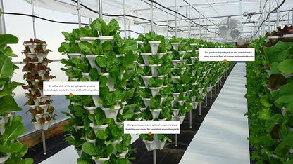 Vertical Gardening Stackable Planter - Build Simple Stacking Gardens or Efficient Commercial Farms - Grow More Strawberries, Herbs, Vegetables & Flowers in Less Space - US Made Pots (Medium, Stone)