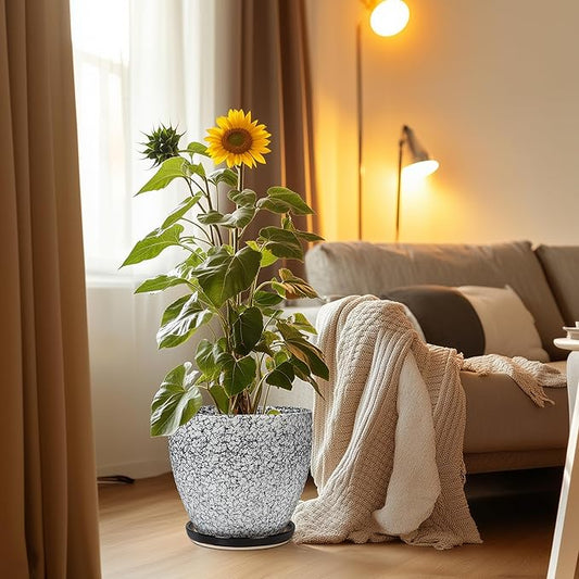 10 Inch Plant Pot - Ceramic Planter for Indoor Outdoor, Round Large Plant Pots, Modern Planter with Drainage Hole and Tray, Home Room Office Garden Decor, Gifts for Women Men, White-Black