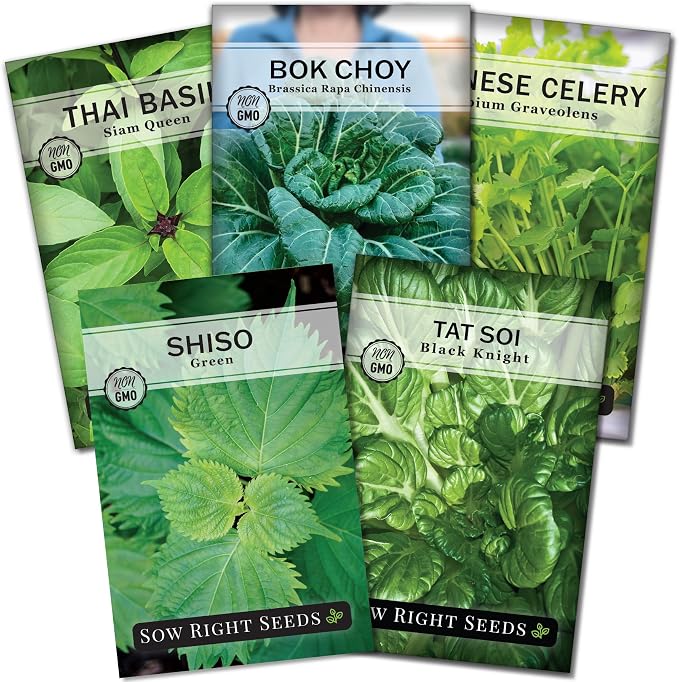 Sow Right Seeds - Asian Greens Seed Collection for Planting - Includes Thai Basil, Bok Choy, Chinese Celery, Green Shiso & Tat SOI - Non-GMO Heirloom Varieties to Plant and Grow Indoors or Outdoors