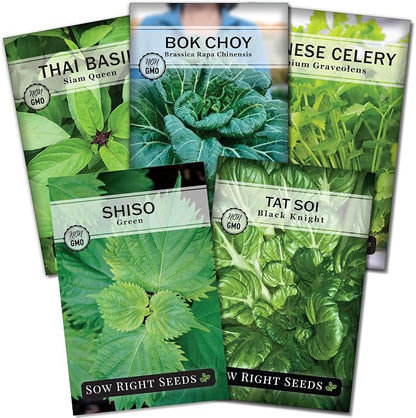 Sow Right Seeds - Asian Greens Seed Collection for Planting - Includes Thai Basil, Bok Choy, Chinese Celery, Green Shiso & Tat SOI - Non-GMO Heirloom Varieties to Plant and Grow Indoors or Outdoors