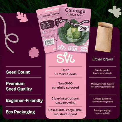 SVI 1000 Golden Acre Cabbage Seeds (Brassica Oleracea) - Green Cabbage, Fast-Growing Heirloom Seed, Non GMO - Great Vegetable Seeds in Seed Packets for Outdoors, Vegetable Garden Beds