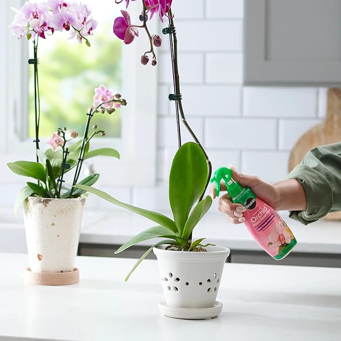 Miracle-Gro Ready to Use Orchid Plant Food Mist, Indoor Orchid Plants, 8 oz, 3-Pack