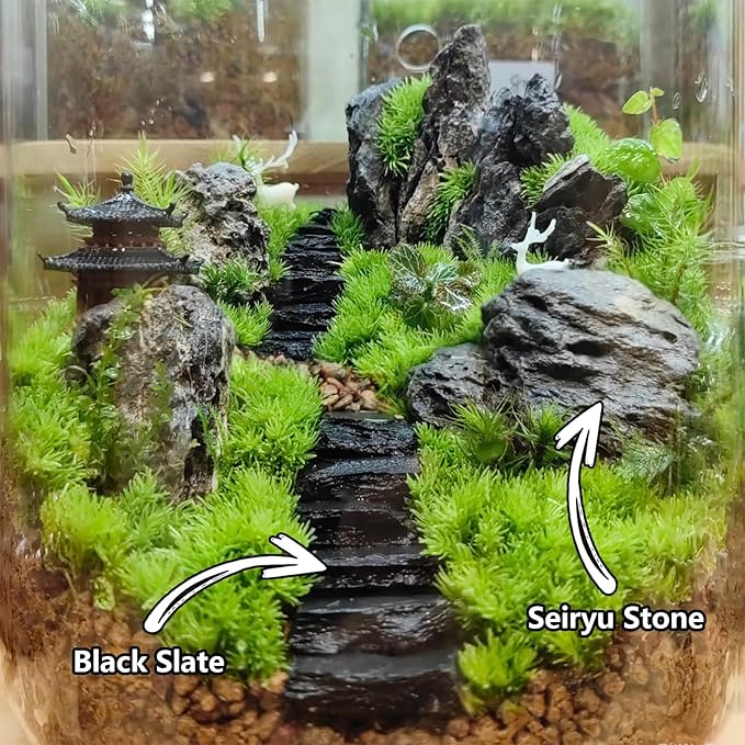 Natural Rocks Slate Stone 1-2 Inches Decorative Stones for Miniature Landscaping,Fairy Gardens,Bonsai,DIY Crafts,Aquariums & Reptile Terrariums-1lb