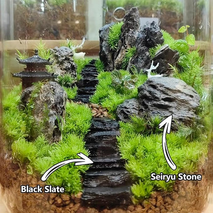 Natural Rocks Slate Stone 1-2 Inches Decorative Stones for Miniature Landscaping,Fairy Gardens,Bonsai,DIY Crafts,Aquariums & Reptile Terrariums-1lb