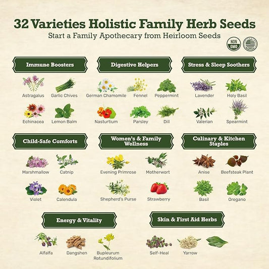 Lush&Dew Holistic Family Apothecary Seed Chest, 30,000+ Medicinal Herb Survival Seed Kit, Gardening Gifts for Women Men, 32 Varieties Heirloom Non-GMO Culinary Herb Seeds for Raised Bed Windowsill
