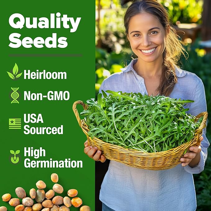 HOME GROWN Arugula Roquette Seeds 2,175+ Heirloom Non-GMO Seeds for Planting, High Germination, Fast Growing Peppery Salad Greens, Indoor Outdoor Hydroponic Garden, Microgreens (Eruca vesicaria)