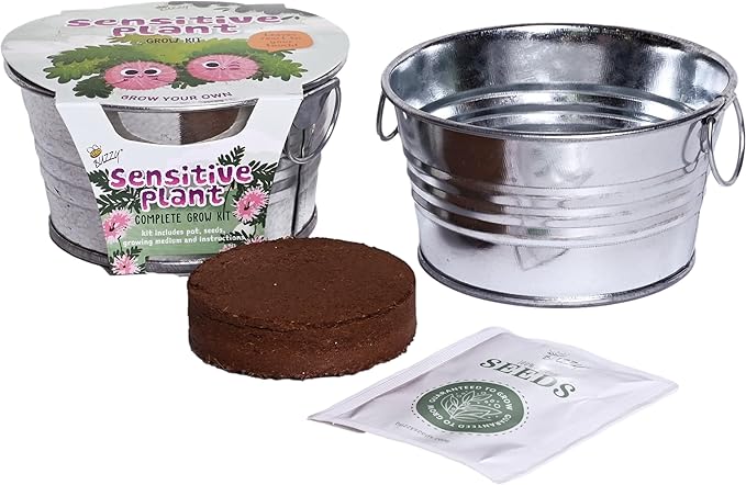 BUZZY Seeds Sensitive Plant Grow Kit – Mini Basin Touch Reactive Plant Starter Set with Moving Leaves, Indoor Gardening Gift and DIY Home Project