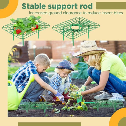 Havawish 20 Pack Strawberry Plant Support Holder for Chocolate Covered Strawberries Square Outdoor Plant Stand Holder, Growing Racks Growing Frame for Keeping Garden Clean