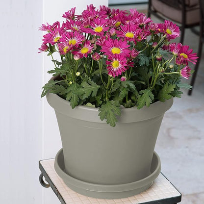 Bloem Terra Resin Saucer Tray: 6.5" Bottom Width - Pebble Stone Beige - Matte, Durable, Ribbed Bottom, Indoor and Outdoor, Fits 8" Terra Pots