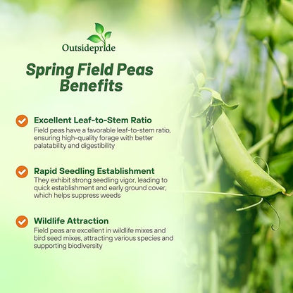Outsidepride Dundale Spring Field Peas Seeds - 1 lb. Annual, High-Protein Legume & Cover Crop Seeds for Forage, Food Plot, Gardens & Pastures - Ideal for Improving Soil Health, & Erosion Control