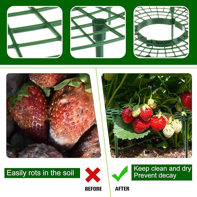 Irenare 12 Pack Strawberry Plant Support with Plant Labels Large Size Strawberry Growing Racks Growing Frame Stand Holder for Keeping Garden Strawberry Clean