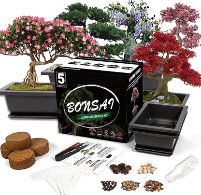 Bonsai Starter Kit, 5 Seeds Growing into Acacia, Wisteria, Sakura, Red Maple and Black Pine, Including Complete Gardening Tools with A Gift Box for Men Women Beginners