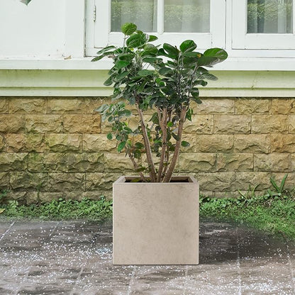 Kante 12 Inch Square Concrete Planter for Outdoor Indoor Home Patio Garden, Large Plant Pot with Drainage Hole and Rubber Plug, Weathered Concrete