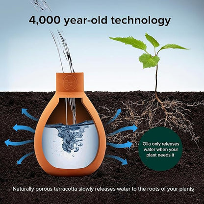 Classic Olla Watering Pot with Lid - Terracotta Self Watering Irrigation up to 2 ft in Diameter for Gardens, Raised Beds, and Pots - Vacation Friendly - Small