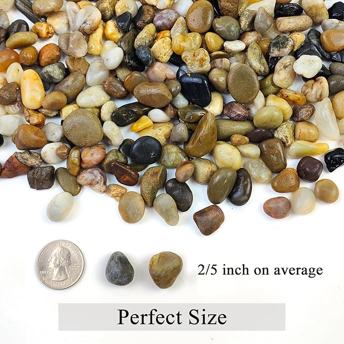 FANTIAN 2 lbs Aquarium Gravel, 2/5 inch Pea Gravel for Fish Tank, Decorative Pebbles River Rocks for Plants Succulent Vase Indoor Water Fountains and Outdoor Landscaping