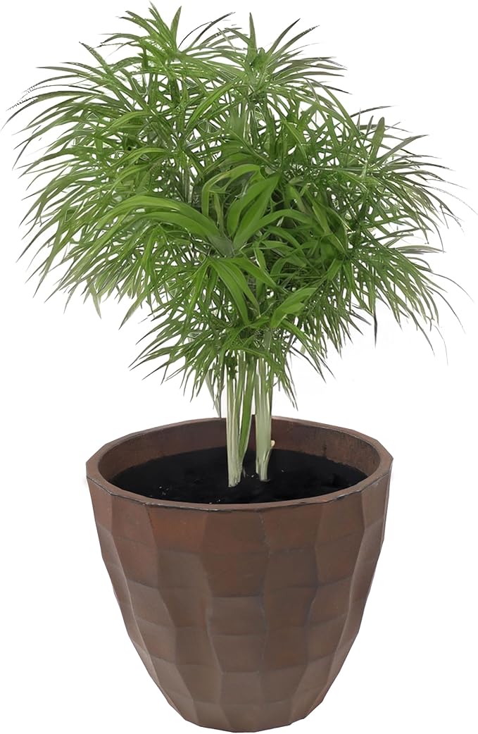 Sunnydaze Pebbled Polyresin Round Outdoor Planter - 15.75" Flower Pot for Indoor or Outdoor Use - Dark Brown