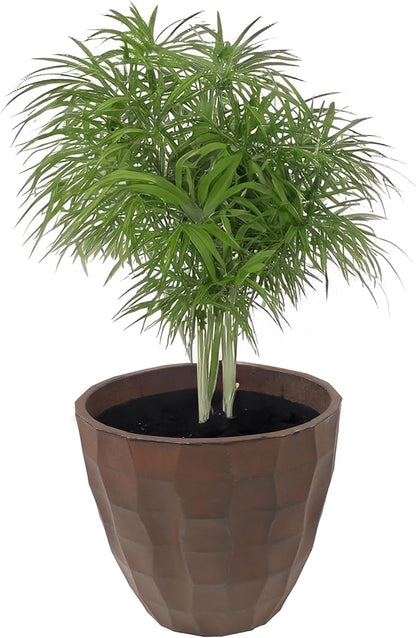 Sunnydaze Pebbled Polyresin Round Outdoor Planter - 15.75" Flower Pot for Indoor or Outdoor Use - Dark Brown