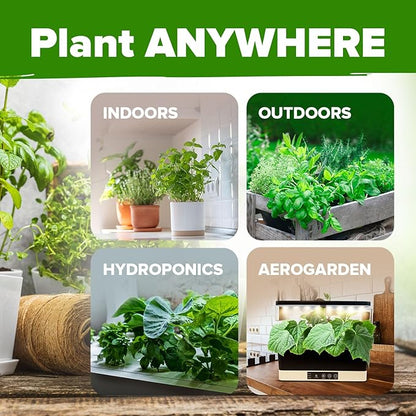 HOME GROWN 25 Herb Seeds for Planting 8,700+ Non-GMO Heirloom Seeds | Extra Large Variety Pack Herb Kit – Indoor Outdoor & Hydroponic | Culinary Seed Set | Grow Your Own Herbs | Gardening Gift