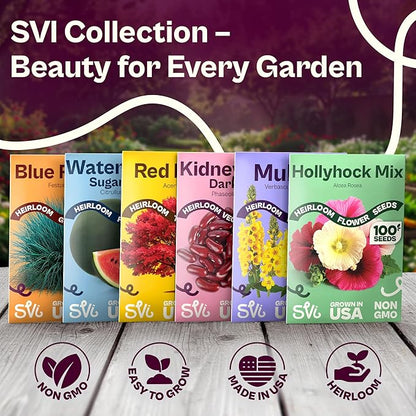 SVI 3750 Parris Island Cos Romaine Lettuce Seeds (Lactuca Sativa) – Green Leaf Lettuce Romaine Seed Packets – Disease Resistant, Heirloom Vegetable Seeds for Outdoor Vegetable Garden