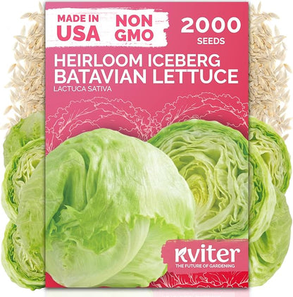 KVITER 2000 Iceberg Batavian Lettuce Seeds (Lactuca Sativa) - Iceberg Lettuce, Crisp Head, Sweet Crunch, Heirloom Seed Packets - Vegetable Seeds for Outdoors, Raised Beds, Home Garden