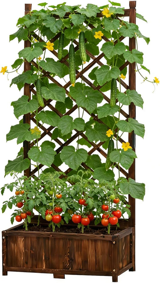 Anraja Raised Garden Bed with Trellis Wooden Planter Box Outdoor Wood Privacy Screen for Climbing Plant Planting Flower Patio Tomato Vegetable Herb Balcony Porch 29.5" L x 17.0" W x 67.0" H