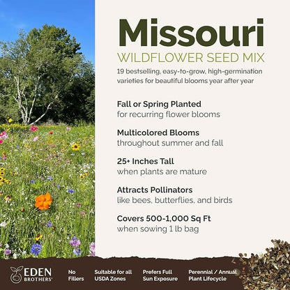 Eden Brothers Missouri Wildflower Mixed Seeds for Planting, 1 lb, 480,000+ Seeds with Lupine, Coreopsis | Attracts Pollinators, Plant in Spring or Fall, Zones