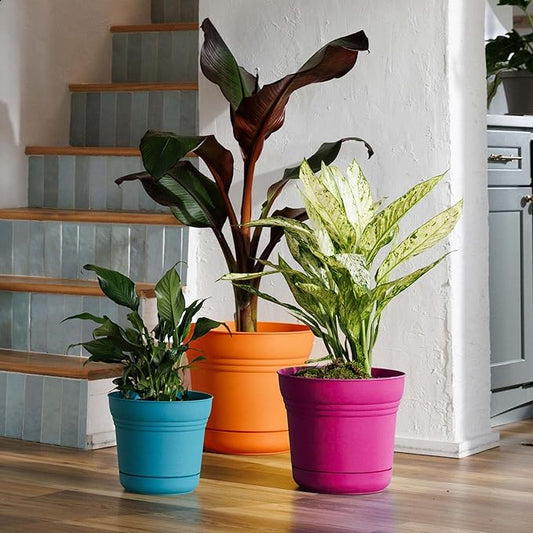 Bloem Saturn 12" Fuchsia Round Resin Planter Pot with Snap-in Saucer for Indoor and Outdoor Gardening