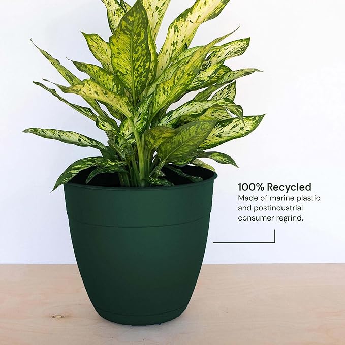 Bloem Dayton 8" Turtle Green Recyled Plastic Planter Pot with Drainage Holes and Removable Saucer for Indoor and Outdoor Gardening