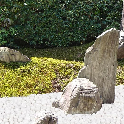 15 lbs White Rocks for Landscaping, 1-2 inch Large White Rocks for Plants, Decorative Polished Stones for Garden, Walkways, Yard, Plants Pots, Vases, Crafts
