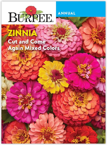 Burpee 'Cut & Come Again' Zinnia Flower Seeds - 550mg Non-GMO Flower Seed Packet for Home Gardening - Heirloom, Cutting Garden, Mixed Colors, Annual Variety, Pollinator Friendly