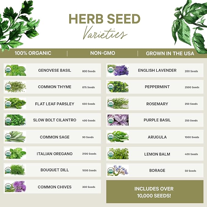 15 Certified Organic Herb Seeds Variety Pack (4X More) 10,000+ Non GMO Seeds for Planting Indoor Herb Garden or Outdoor Herb Garden Seeds for Planting | Including Basil, Rosemary & More