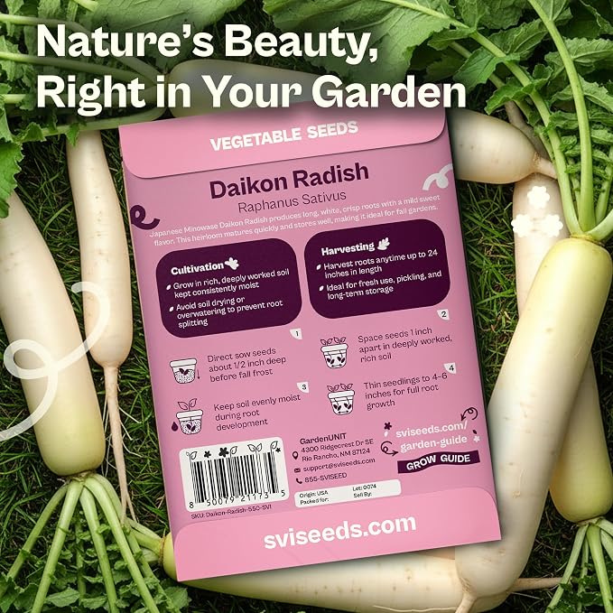 SVI 550 Daikon Radish Seeds (Raphanus sativus) – White Radish Seed Packets, 45-Day Radishes Harvest, Raddish Seed Pack – Heirloom Vegetable Seeds for Vegetable Garden Outdoors, Bed Japanese Garden