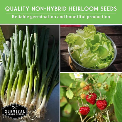 Tower Garden Seeds 15 Variety Collection - Heirloom Compact Vegetables & Herbs for Small Space, Patio, & Container Growing - Dwarf Garden Seed Variety Pack for Planting - Survival Garden Seeds