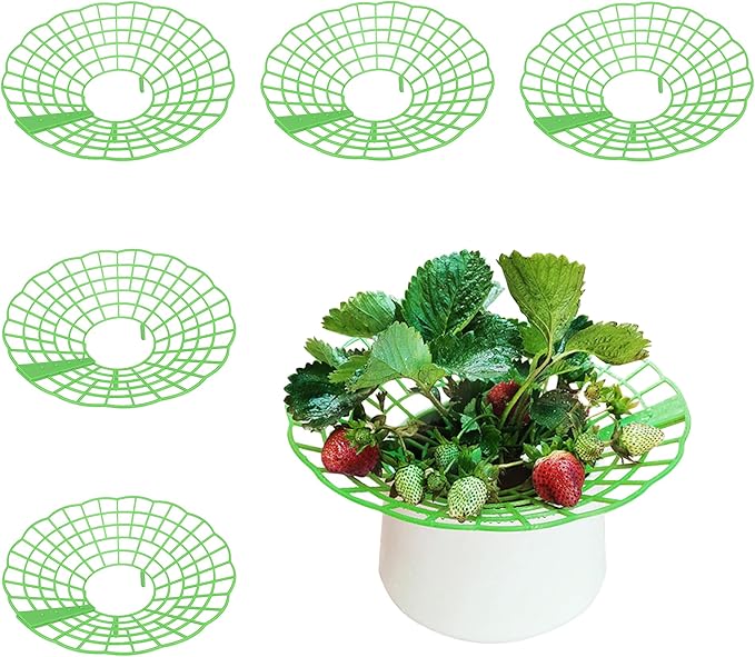 5 Packs Strawberry Supports - Reusable Strawberry Plant Stand Waterproof Growing Frame Plastic Fruit Tray Protectors Sturdy Strawberry Growing Racks to Keep Strawberries Off Mold, Rot and Dirt