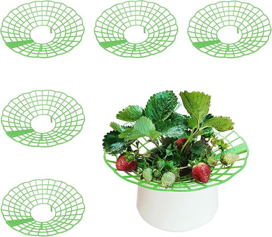 5 Packs Strawberry Supports - Reusable Strawberry Plant Stand Waterproof Growing Frame Plastic Fruit Tray Protectors Sturdy Strawberry Growing Racks to Keep Strawberries Off Mold, Rot and Dirt