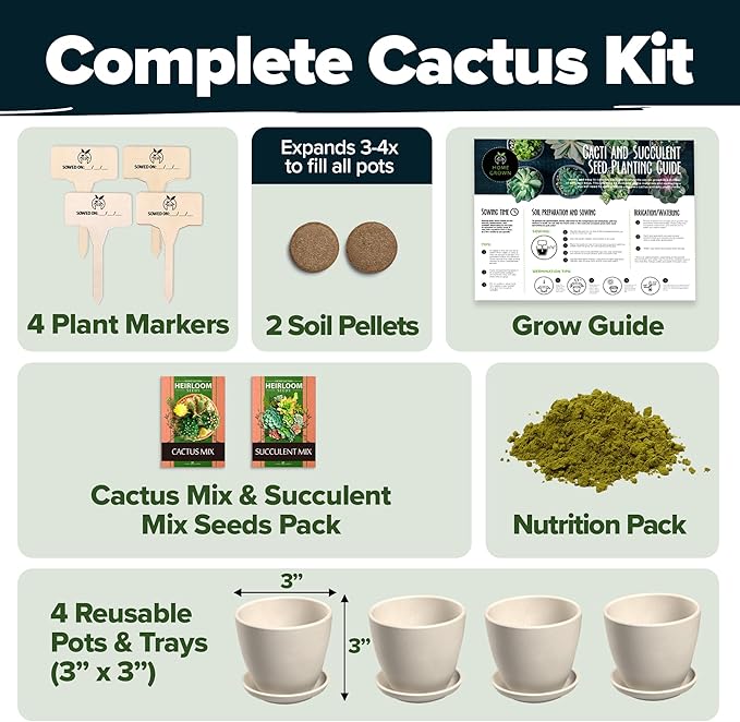 HOME GROWN Bonsai Tree Starter Kit – Unique Christmas Gift for Adults, Men, Women - Grow 4 Bonsais & HOME GROWN Succulent & Cactus Seed Kit for Planting