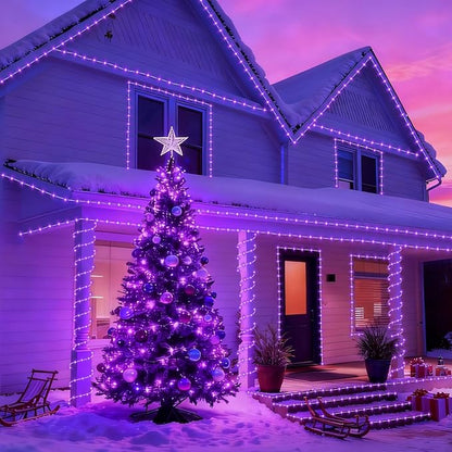 YEGUO Solar Christmas Lights Outdoor Waterproof, 2 Packs Each 33ft 100 LED Rope Lights, 8 Modes Fairy String Lights in Clear Thin Tube for Camping Fence Patio Garden Trampoline Deck(Purple)