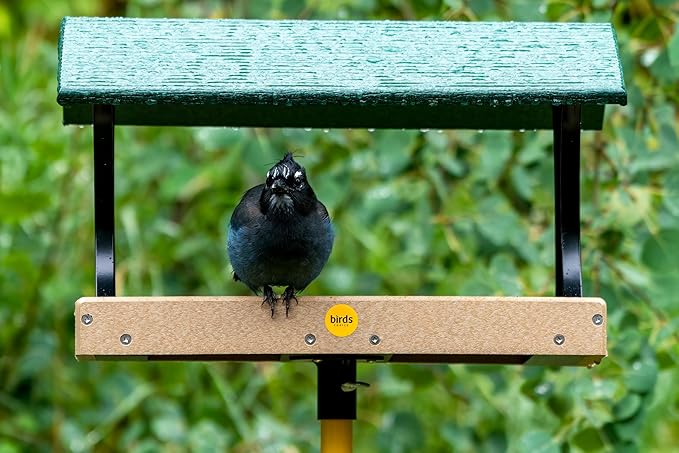 Birds Choice 18X12 Fly-Through Platform